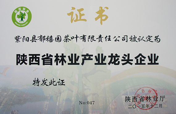 陕西省林业产业龙头企业